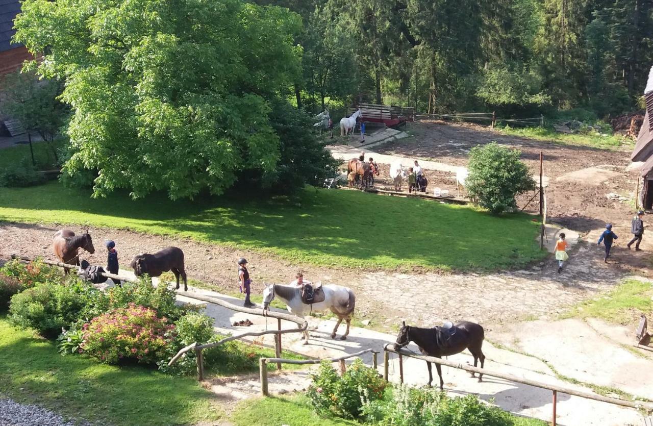Gorski Osrodek Jezdziecki Bukowina Tatrzańska Exterior foto